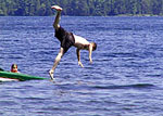resorts for sale in Ontario